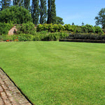 TurboTurf™ Perennial Ryegrass Seed