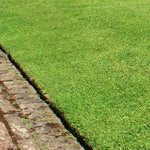 TurboTurf™ Perennial Ryegrass Seed